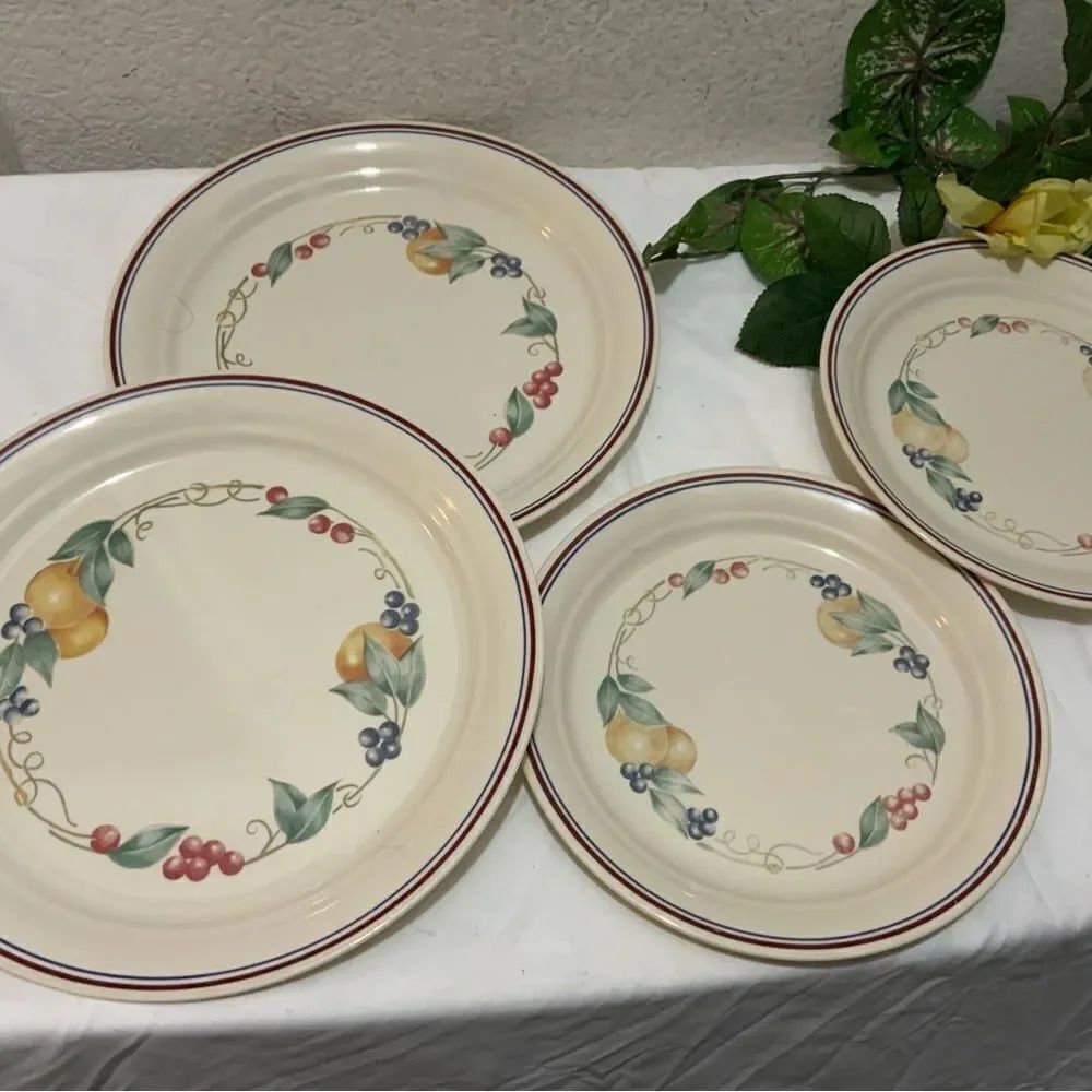 4  Corelle Abundance 2 dinner 2 Lunch Plates Fruit & Berries - Brown & Blue Trim